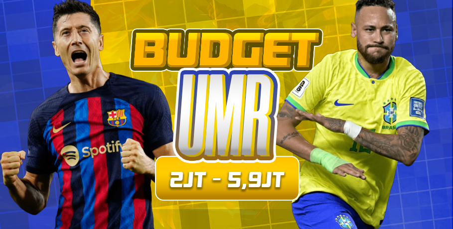 Budget UMR