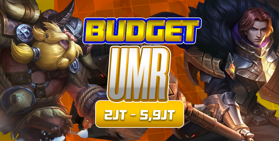 Budget UMR